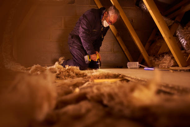Best Types of Insulation in Bridgeport, TX