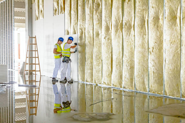 Best Insulation Materials and Products in Bridgeport, TX
